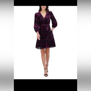 Eliza J Velvet Dress in Deep Burgundy and Black